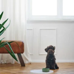 Hunde- og kattefôrskål Osby Ceramic White 1900ml/ø19,5cm