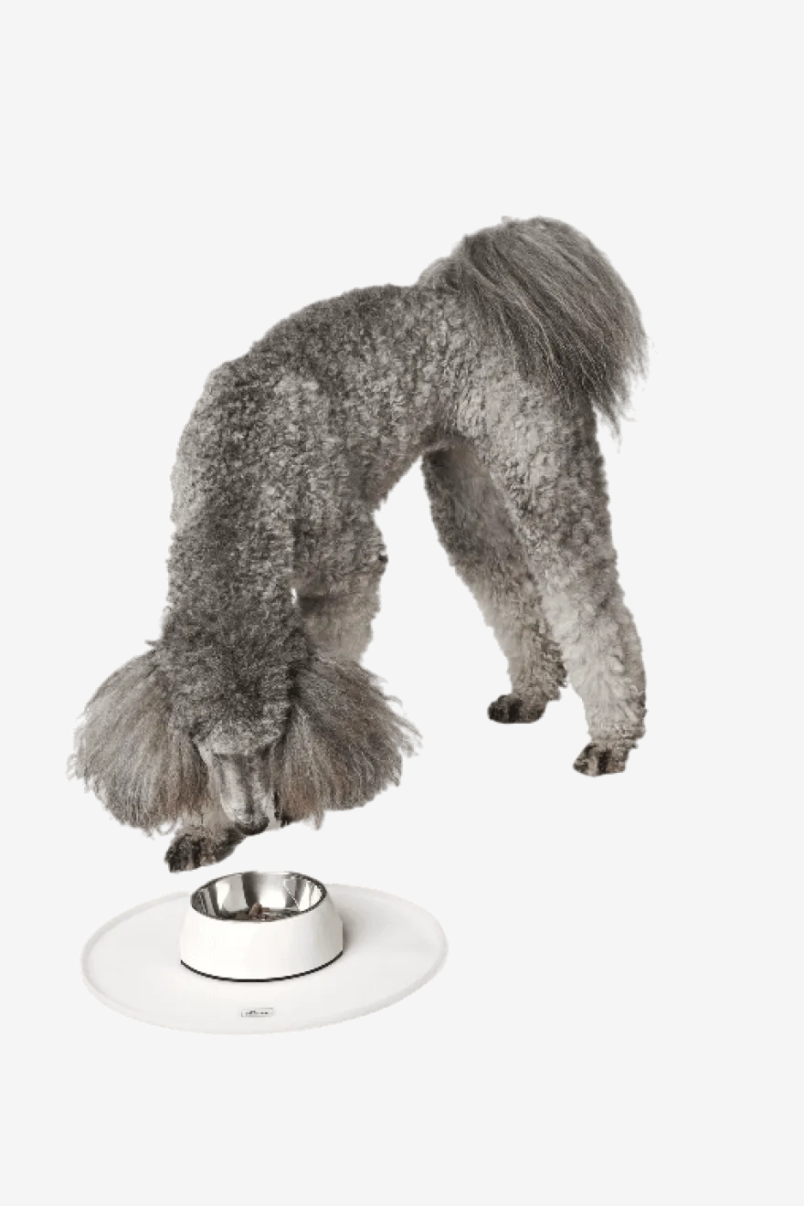 Hunde- og katteskål Base Selection Rund Antracit ø38cm