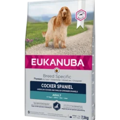Hunderase Cocker Spaniel 7,5 kg