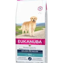 Hunderase Golden Retriever 12 kg