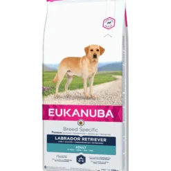 Hunderase Labrador Retriever 12 kg