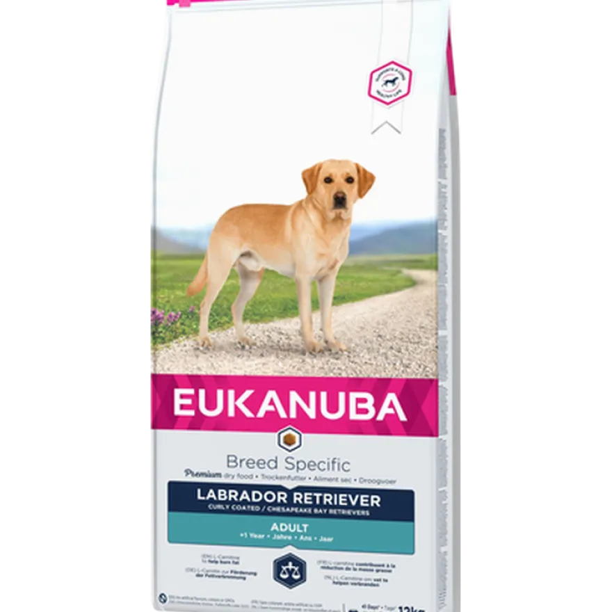 Hunderase Labrador Retriever 12 kg