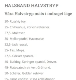 Hundhalsband - Halvstryp Skinnskodd Green 30 cm