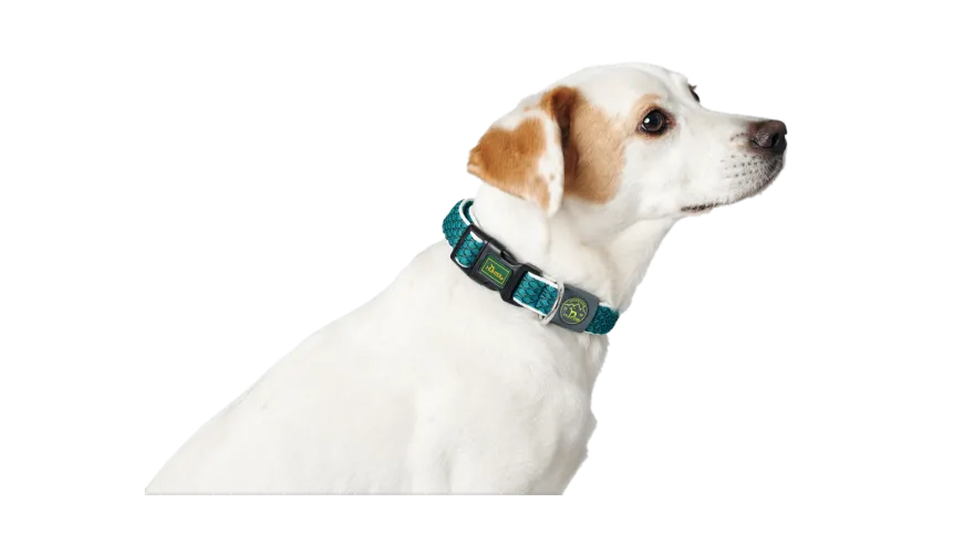 Hundhalsband Hilo Vario Basic Mesh Turkos
