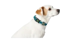 Hundhalsband Hilo Vario Basic Mesh Antracit