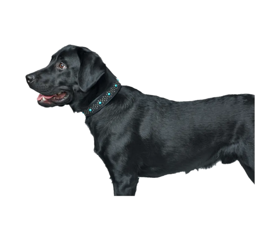 Hundhalsband Madona Svart