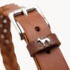 Hundhalsband Solid Education Special Mörkbrun
