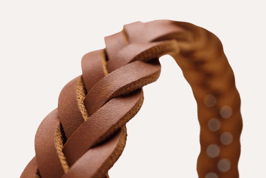 Hundhalsband Solid Education Special Mörkbrun