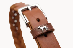 Hundhalsband Solid Education Special Cognac