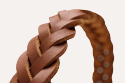 Hundhalsband Solid Education Special Svart