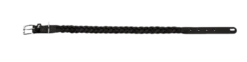 Hundhalsband Solid Education Special Svart