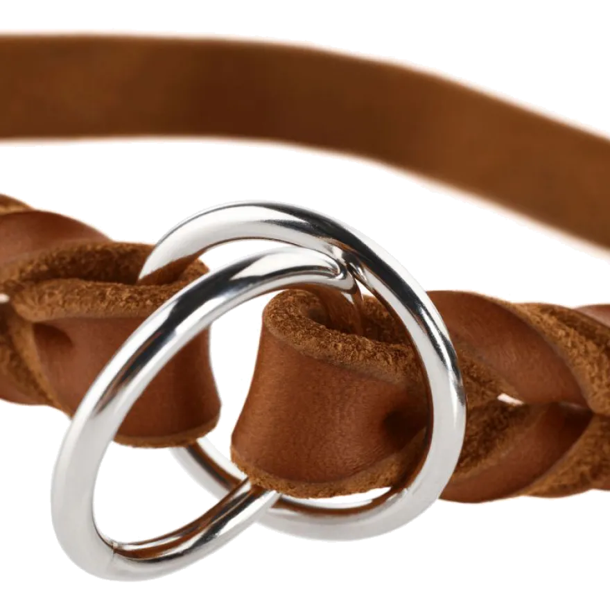 Hundhalsband Ställbart Solid Education Halvstryp Olivgrön