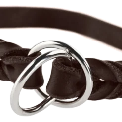 Hundhalsband Ställbart Solid Education Halvstryp Cognac