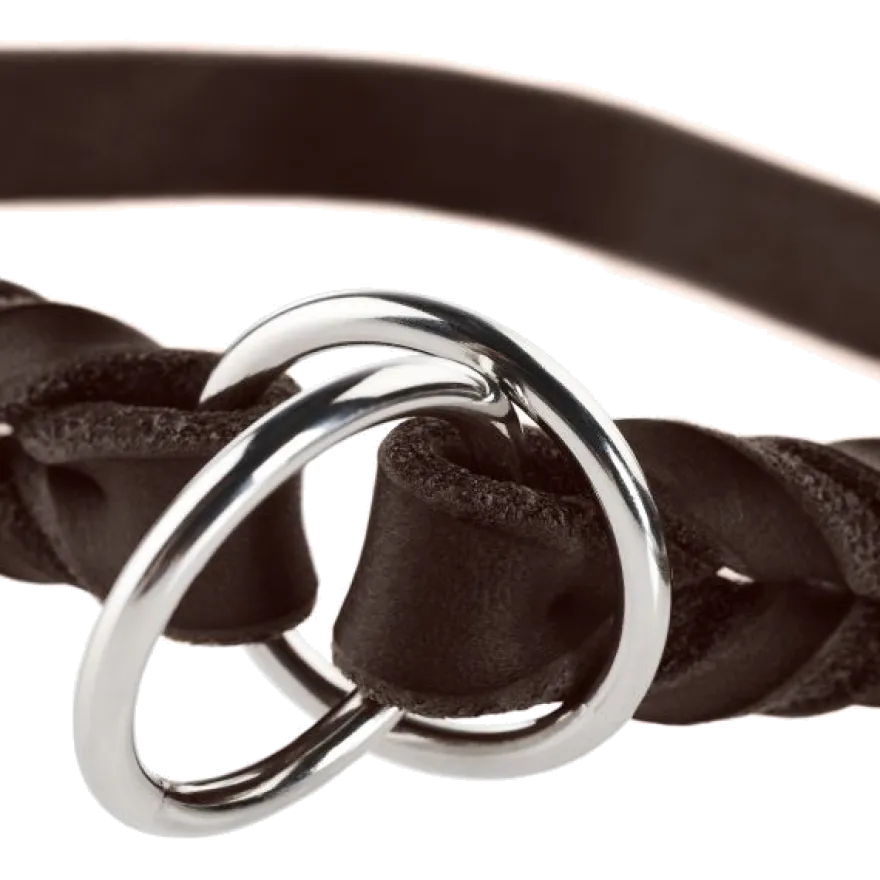Hundhalsband Ställbart Solid Education Halvstryp Brun