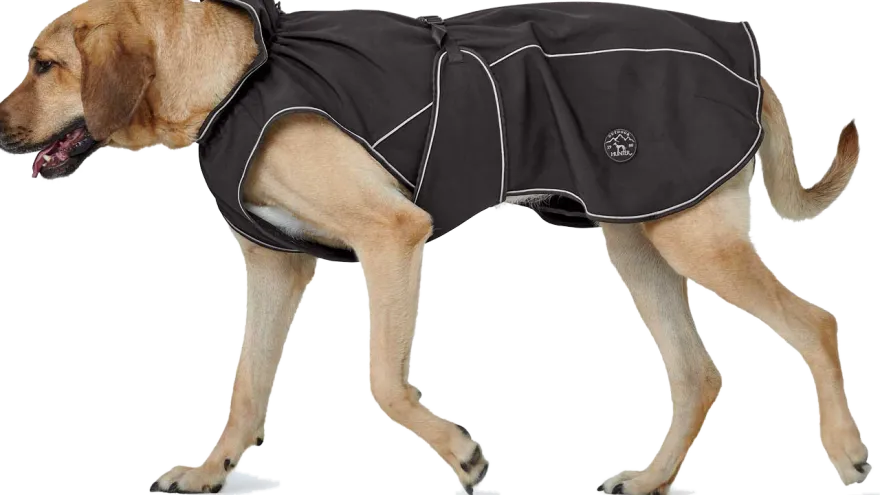Hunter Coat Uppsala Softshell black 50 cm
