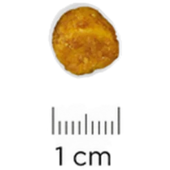i/d Digestive Sensitive Egg & Rice 12 kg