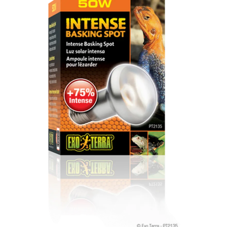 Intensiv solstråle - Sun Glo Black 100 W
