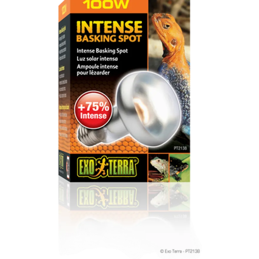 Intensiv solstråle - Sun Glo Black 100 W