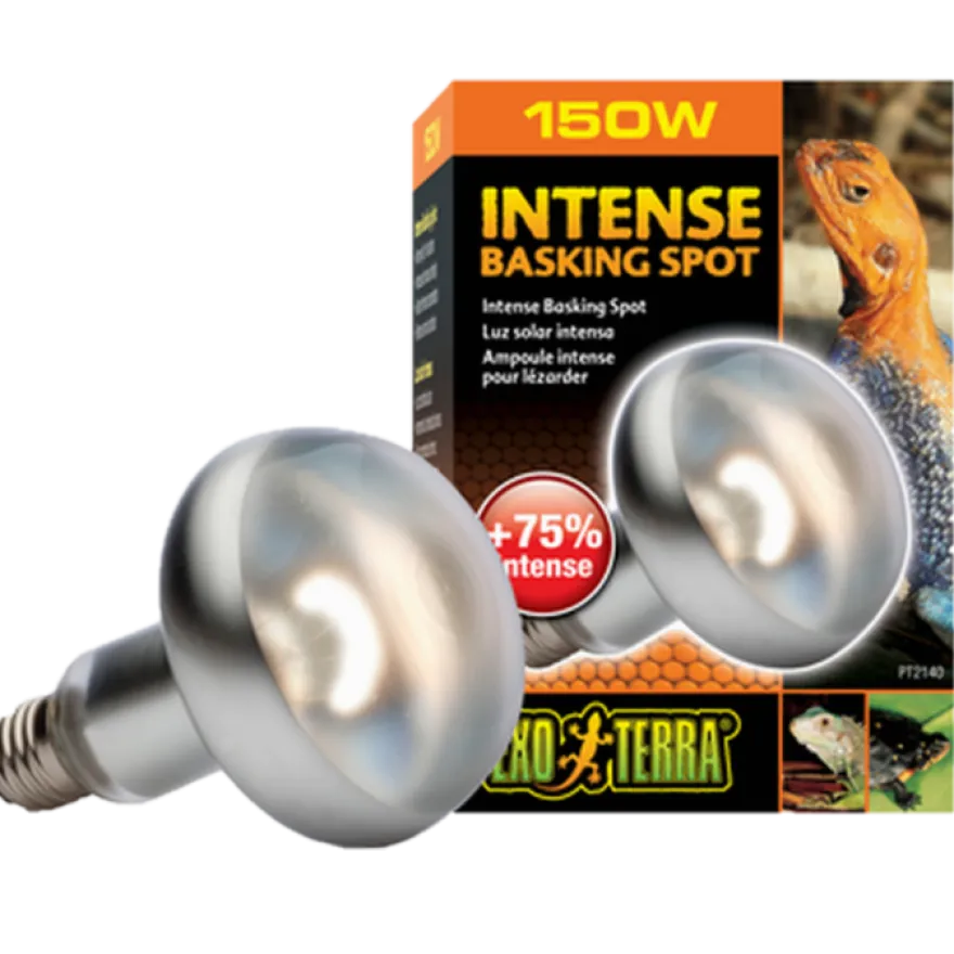 Intensiv solstråle - Sun Glo Black 100 W