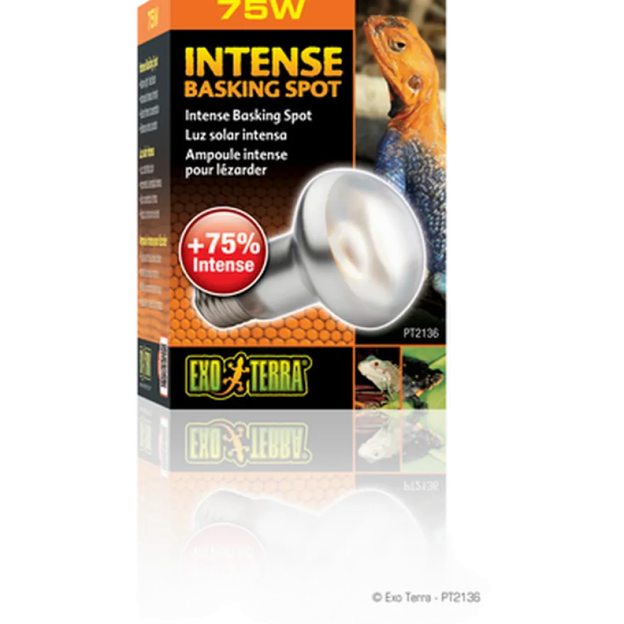 Intensiv solstråle - Sun Glo Black 100 W