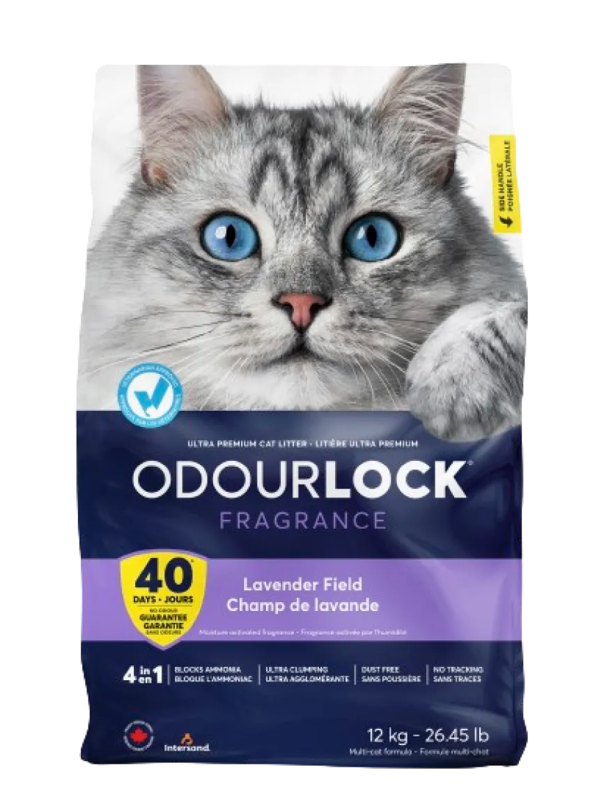 Intersand Odour Lock Lavender Field Purple 12 kg