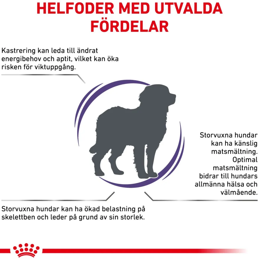 Kastrert Adult Large Dog Tørrfôr for hunder 12 kg
