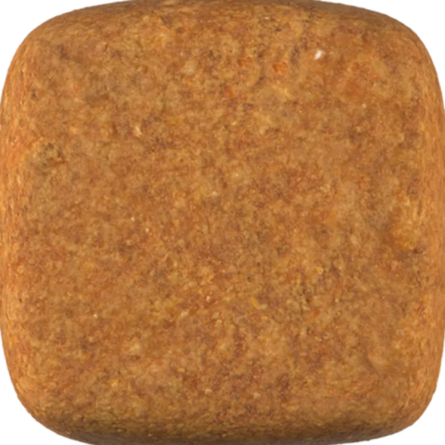 Kastrerte Satiety Balance 12 kg