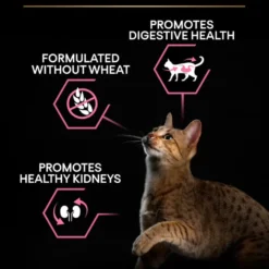 Katt Adult Delicate Digestion Kalkun 10 kg