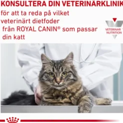 Katt Derma Hypoallergenic Veterinary Diet 4,5 kg