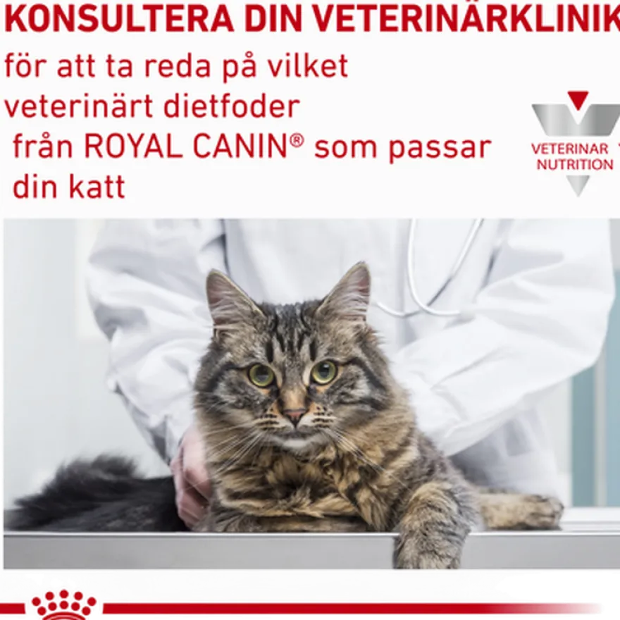 Katt Derma Hypoallergenic Veterinary Diet 4,5 kg