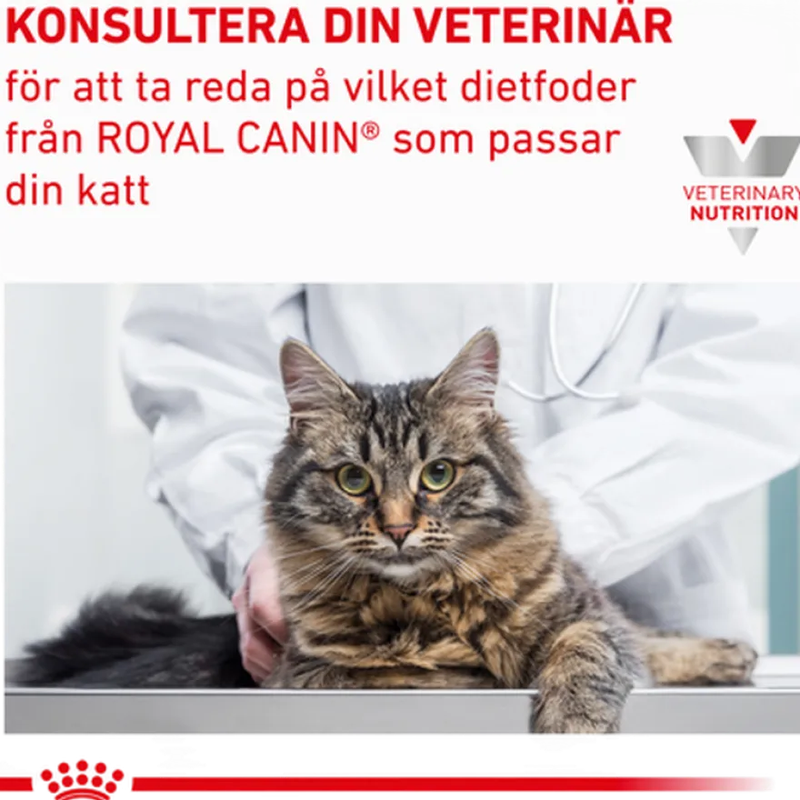 Kattenyrebrød 85 g x 12 stk