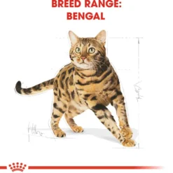 Katterase Bengal 2 kg