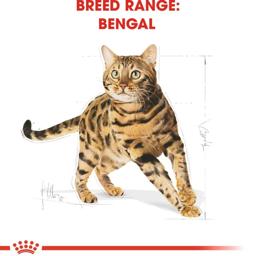 Katterase Bengal 2 kg