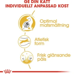 Katterase Bengal 2 kg