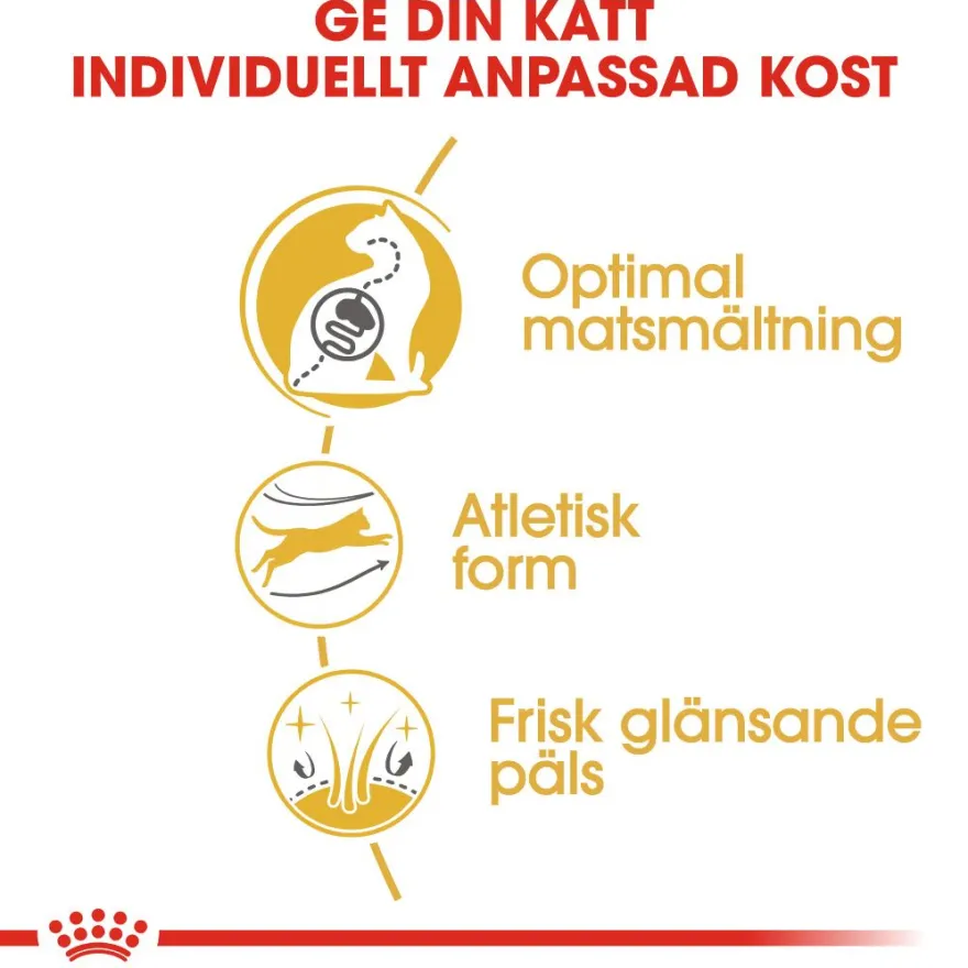 Katterase Bengal 2 kg