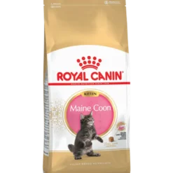 Katterase Maine Coon kattunge 2 kg