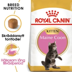 Katterase Maine Coon kattunge 2 kg