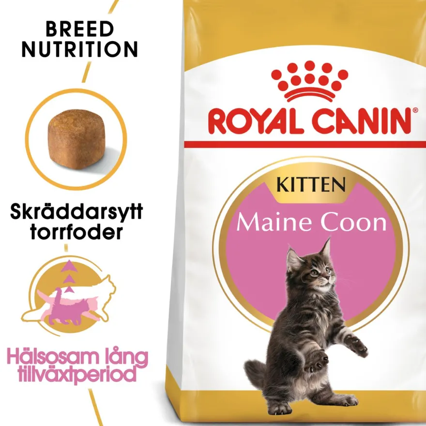 Katterase Maine Coon kattunge 2 kg