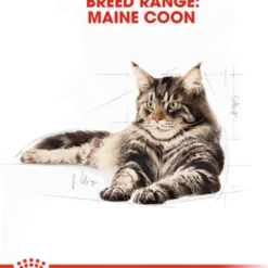 Katterasen Maine Coon 2 kg