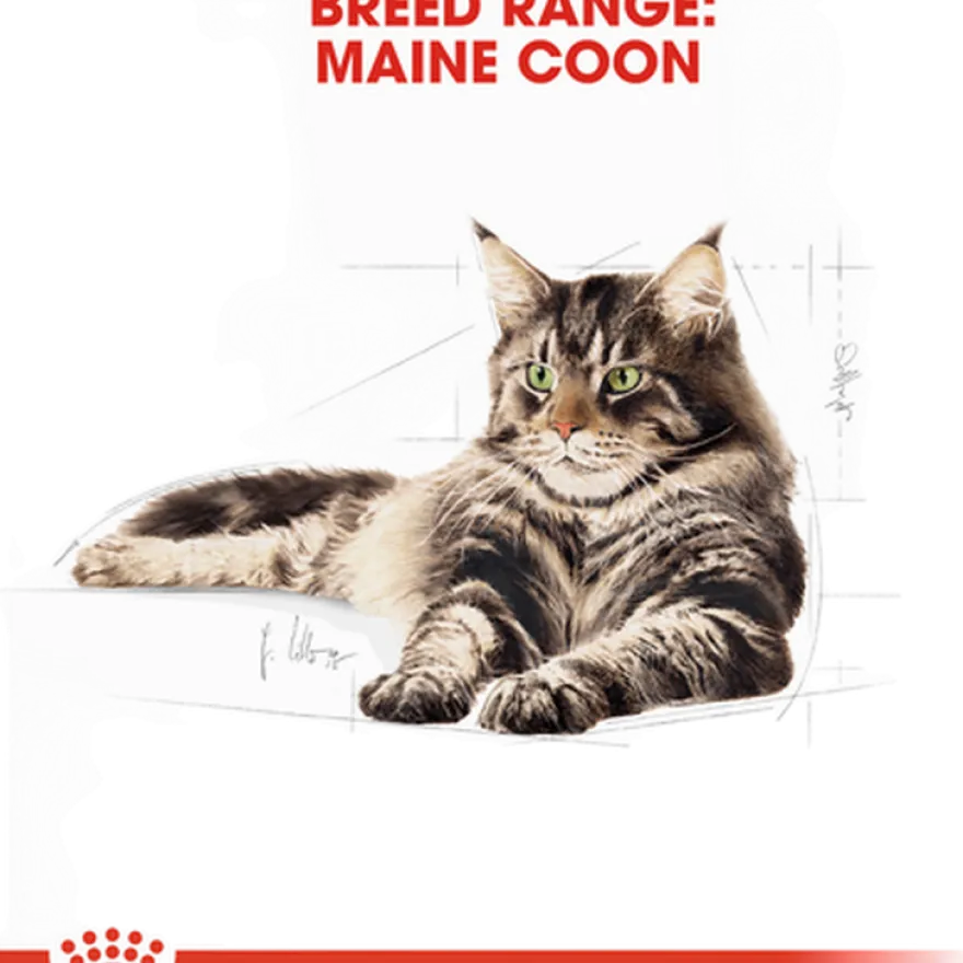 Katterasen Maine Coon 2 kg