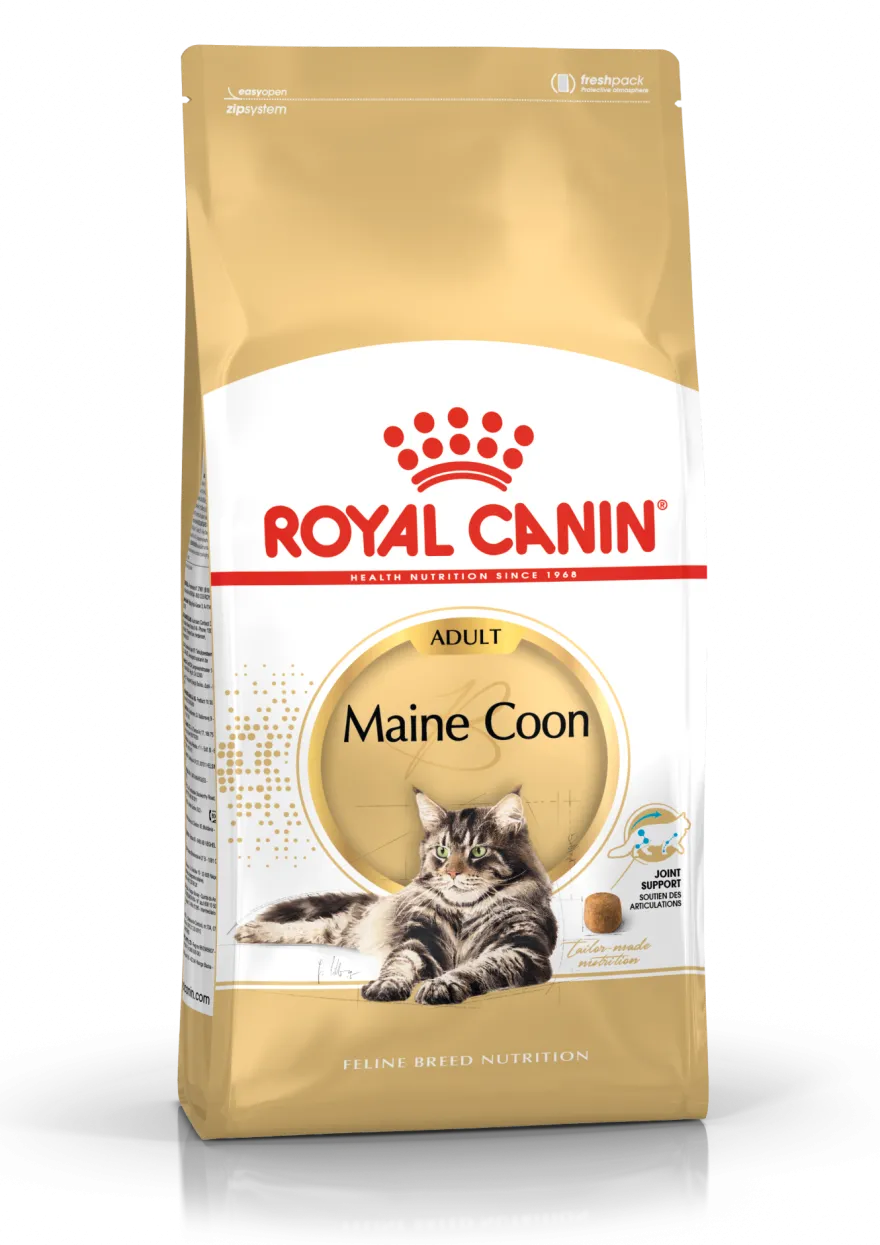 Katterasen Maine Coon 4 kg