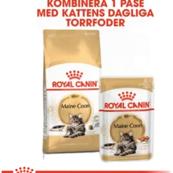 Katterasen Maine Coon 4 kg