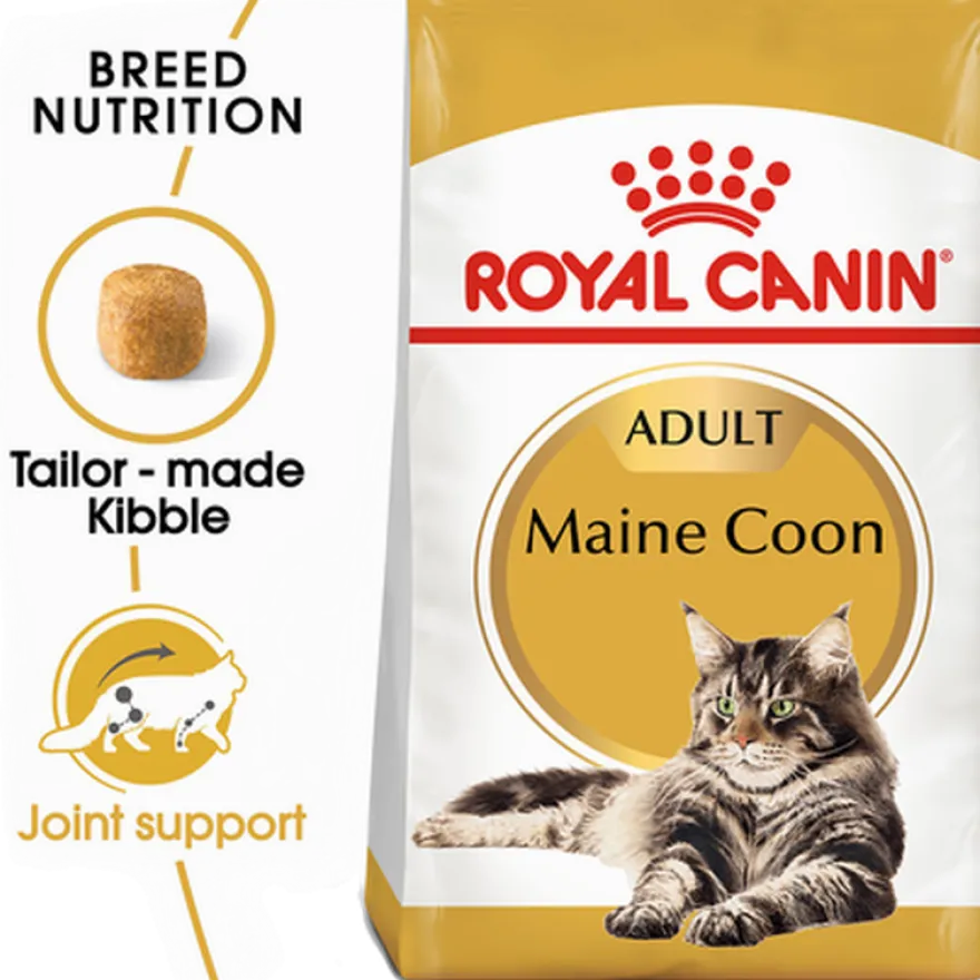Katterasen Maine Coon 4 kg