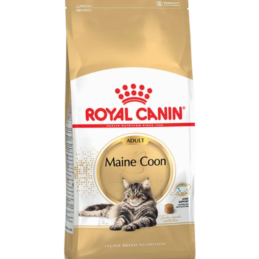 Katterasen Maine Coon 10 kg