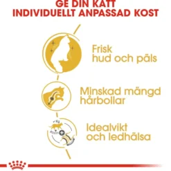 Katterase Norsk skogkatt 10 kg