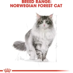 Katterase Norsk skogkatt 2 kg