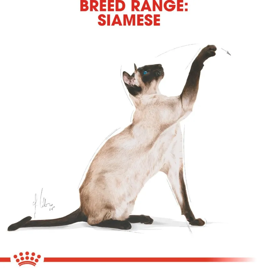 Katterasen siameser 2 kg