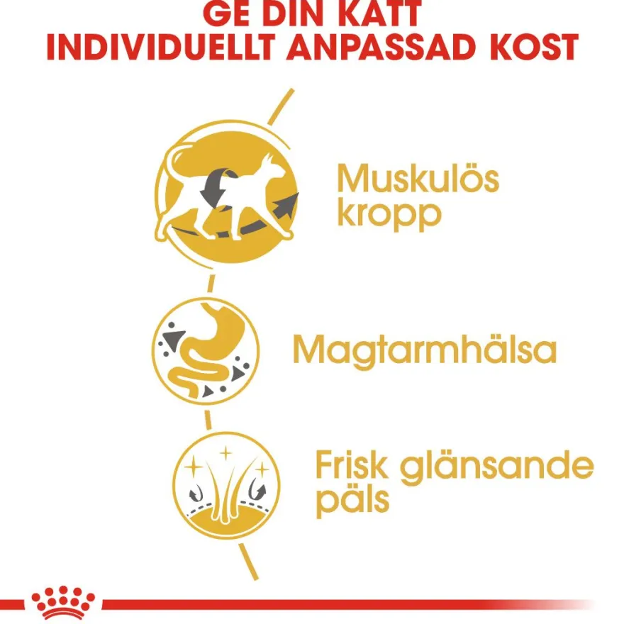 Katterasen siameser 2 kg