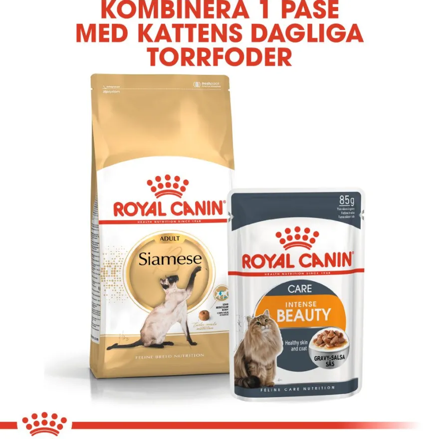 Katterasen siameser 2 kg