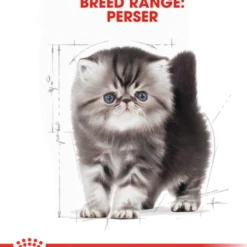 Katterase Perserkattunge 2 kg
